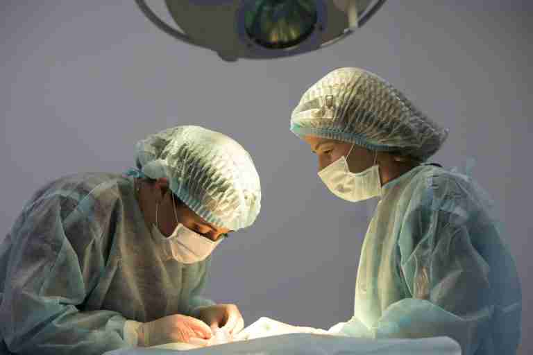 Closeup view of two female veterinarian does cat sterilization surgery and sews up the wound, vet holding a needle in his hands. Veterinary surgery, operation, laparotomy concept